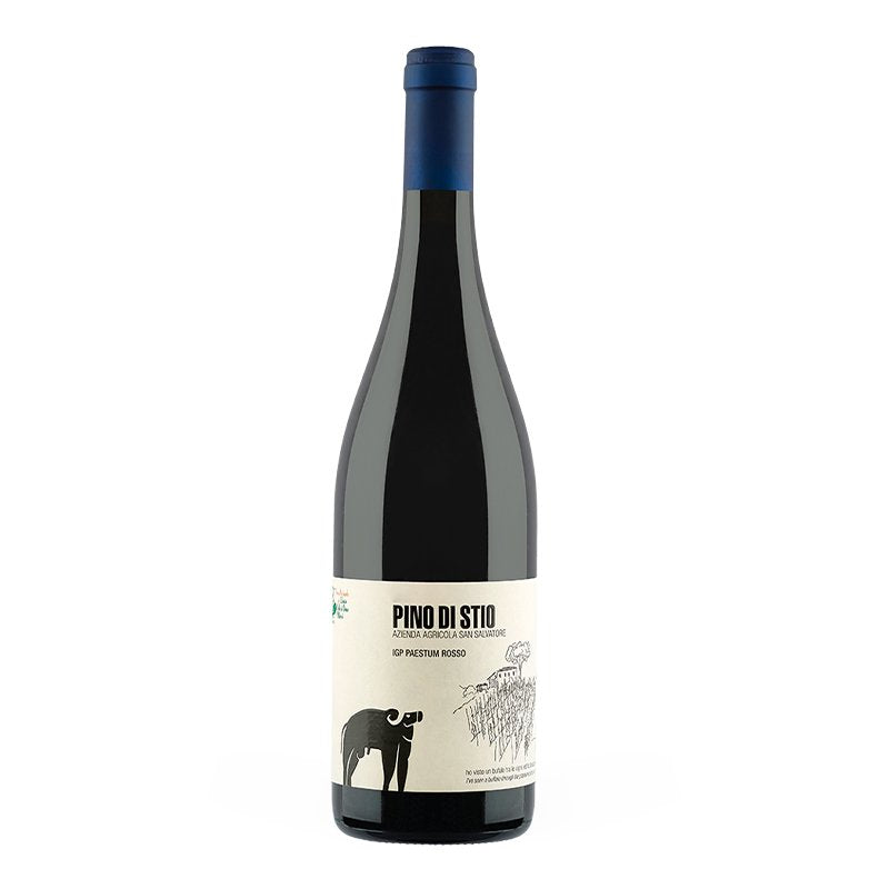 Pino Di Stio Paestum IGP 2020 Cantina San Salvatore 1988