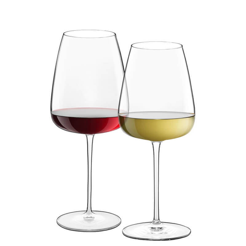 Talismano Set Calici Vino Rosso e Vino Bianco in Vetro - Set 8 Pezzi