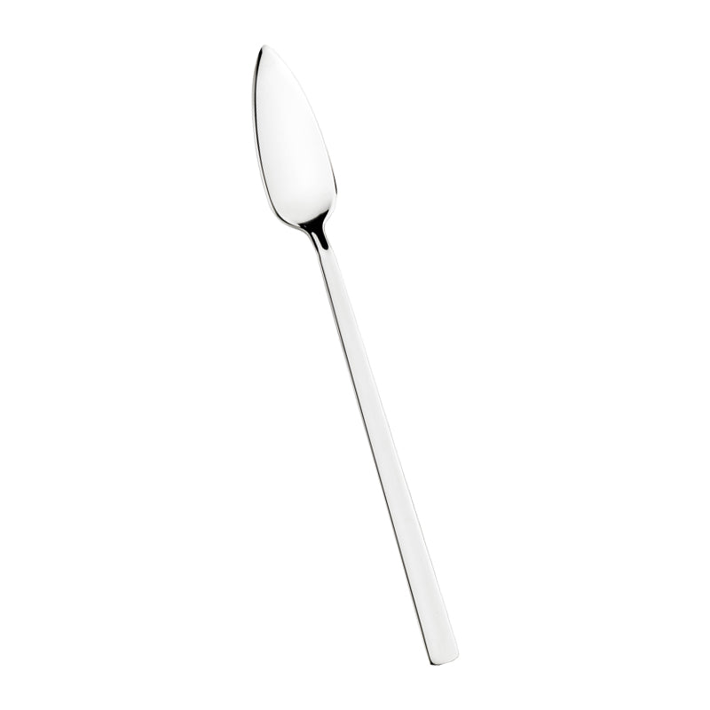 Tecna Coltello Pesce In Acciaio Inox - Set 12 Pz