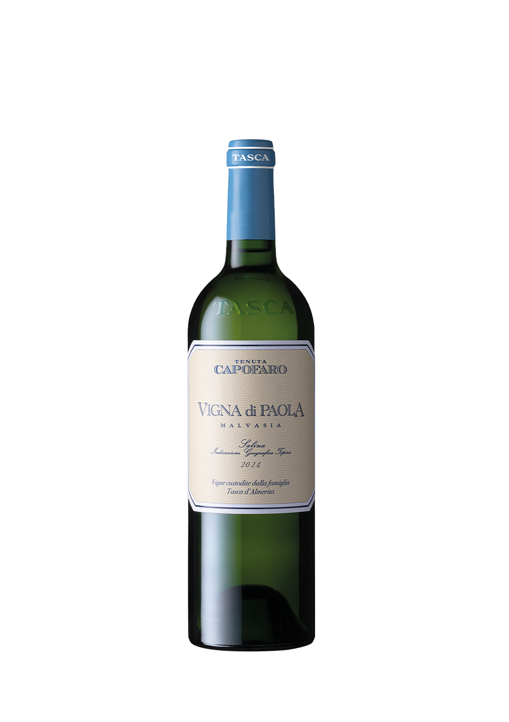 Vigna di Paola - 2024